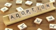 Scrabble letters spelling out adoption