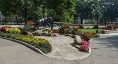 Panther surrounded by landscaping