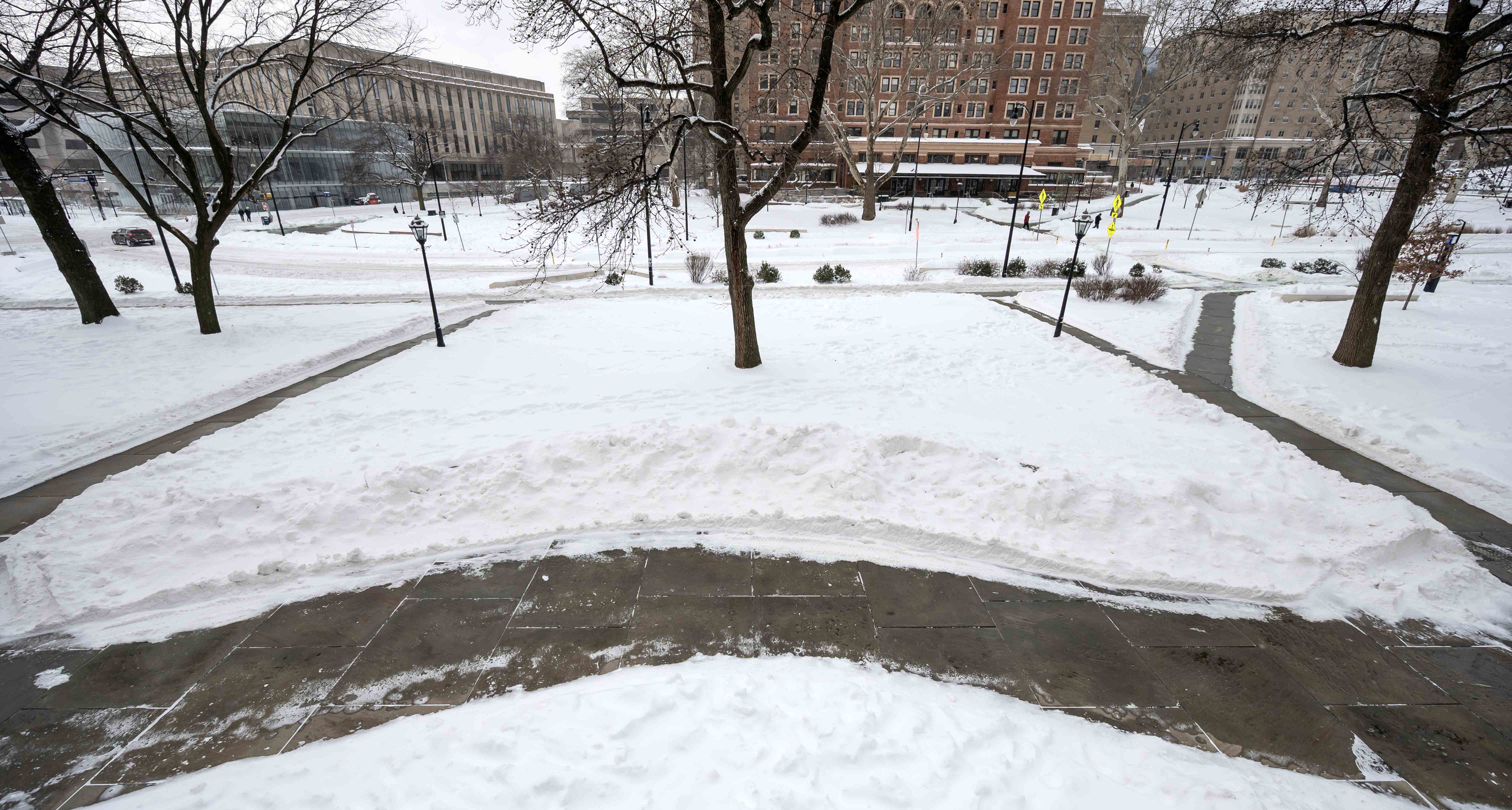 Cleared paths