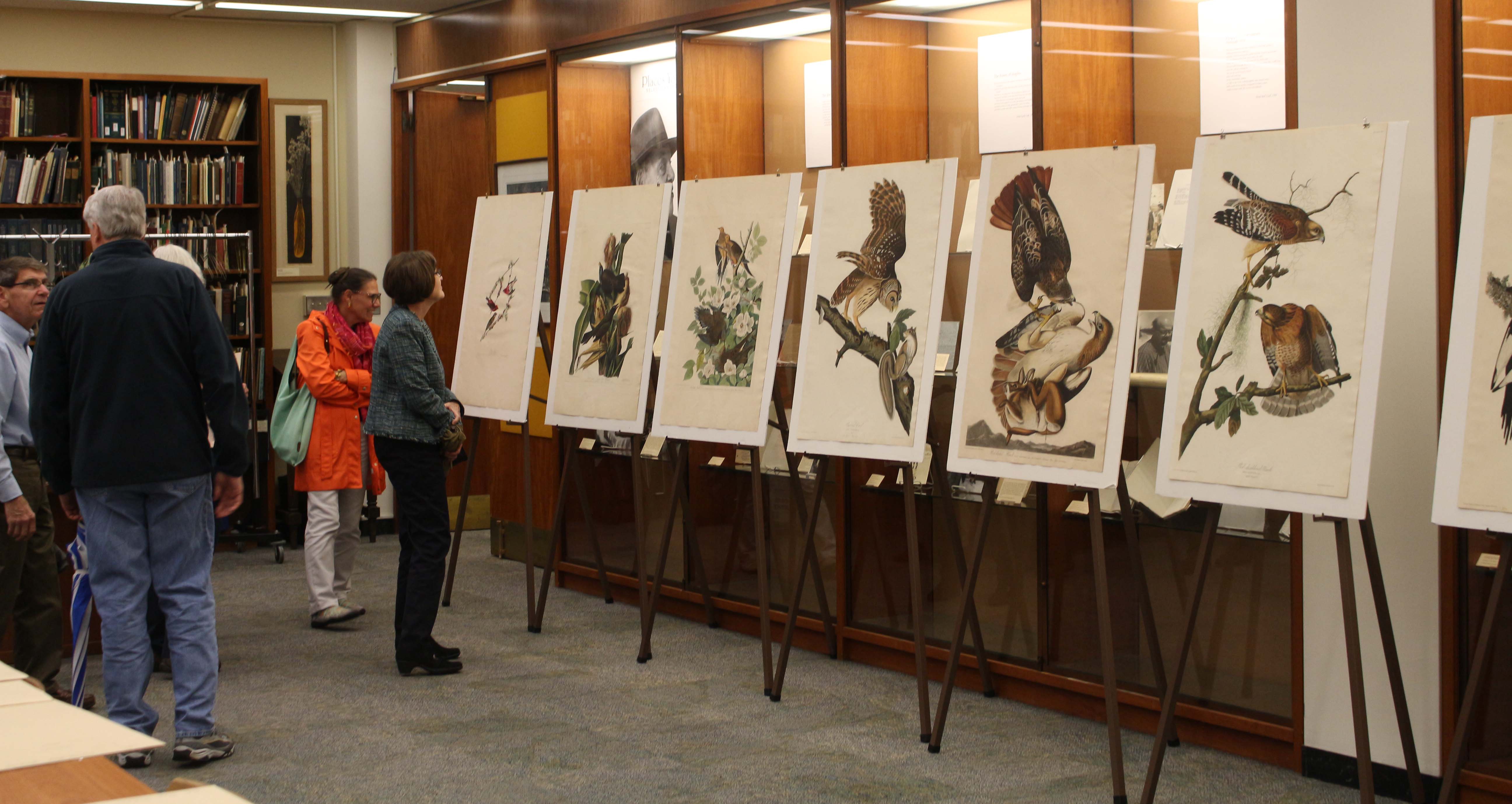 Audubon Day exhibit 2017