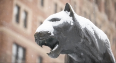 Panther statue covered in snow