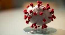Model of COVID-19 virus by Will Hinson
