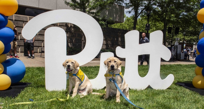 Dogs in front of Pitt sign